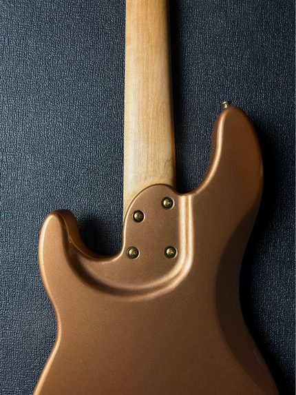 DS Series Bass